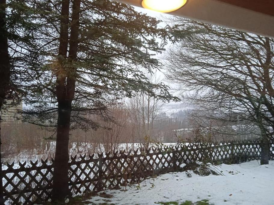 Hexenstube Jorjina - Wlan - Garten- Tolles Bad -wandern -mountainbike - Motorradurlaub Braunlage
